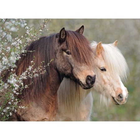 Puzzle Ponei, 150 Piese Ravensburger - 1